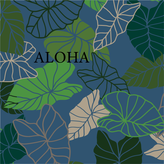 Kalo - 16 oz Pint Cup
