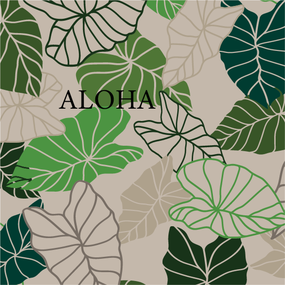 Kalo - 16 oz Pint Cup