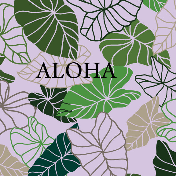 Kalo - Can Cooler