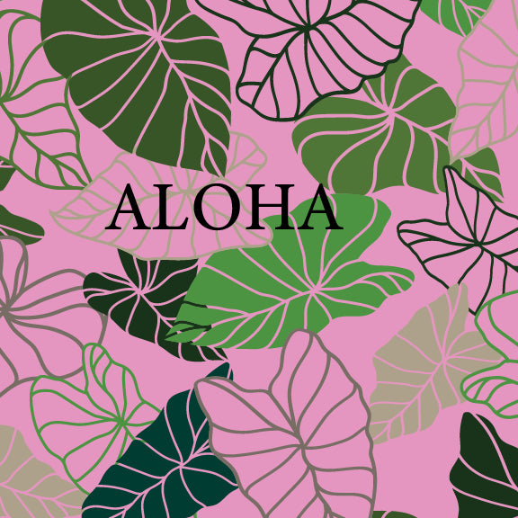 Kalo - 16 oz Pint Cup