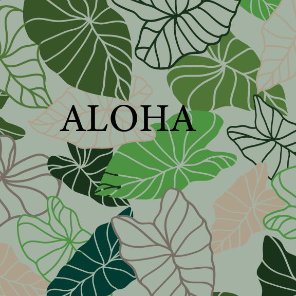 Kalo - 16 oz Pint Cup