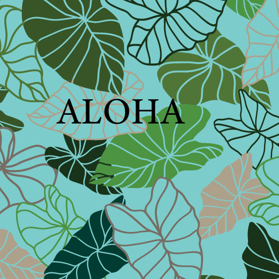 Kalo - 16 oz Pint Cup