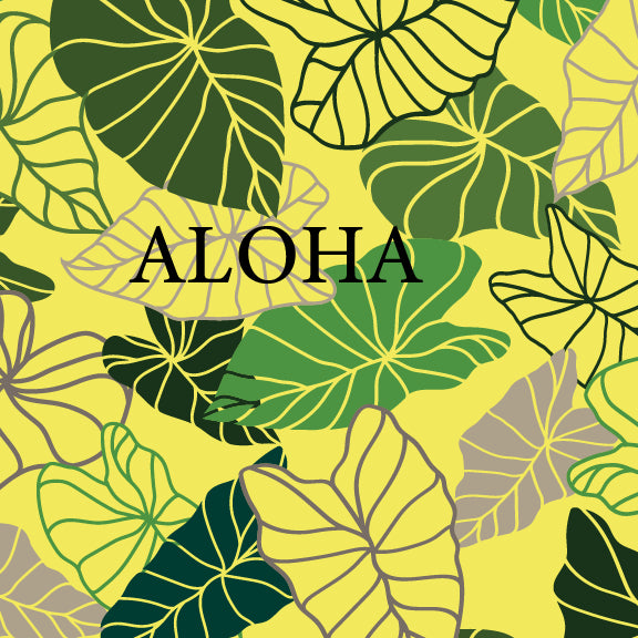 Kalo - 16 oz Pint Cup