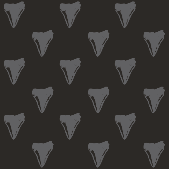 Shark Tooth - 16 oz Pint Cup