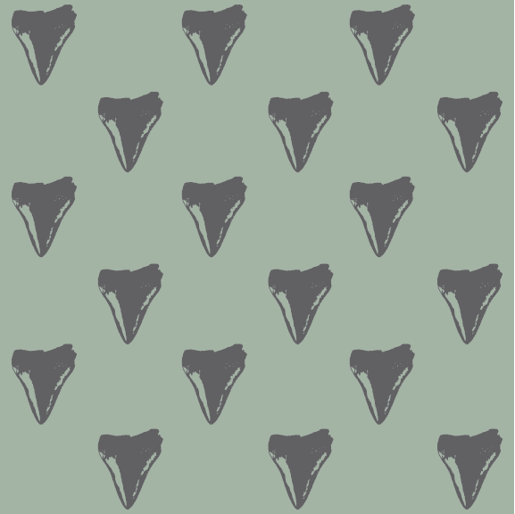 Shark Tooth - 24 oz Flask