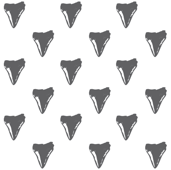 Shark Tooth - 40 oz Flask